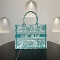 Christian Dior Shopping Bags